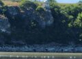 Acțiune de ecologizare pe malurile Prutului, în zona Stânca-Costești