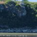 Acțiune de ecologizare pe malurile Prutului, în zona Stânca-Costești