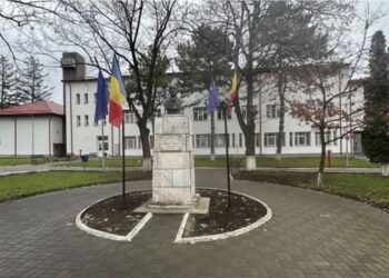 Elevii Liceului Teoretic „Dr. Mihai Ciucă” din Săveni, recompensați cu Certificate Naționale de Calitate pentru proiecte eTwinning