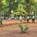 Acțiune de ecologizare organizată de Penitenciarul Botoșani