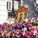 „Credință, tradiție și unitate, în cinstea Sfintei Cuvioase Parascheva”. Activitate cu elevii din Dorohoi și Broscăuți